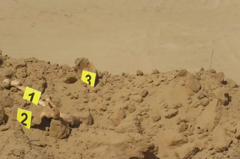 Человеческие останки обнаружили при строительстве дороги в Атырауской области