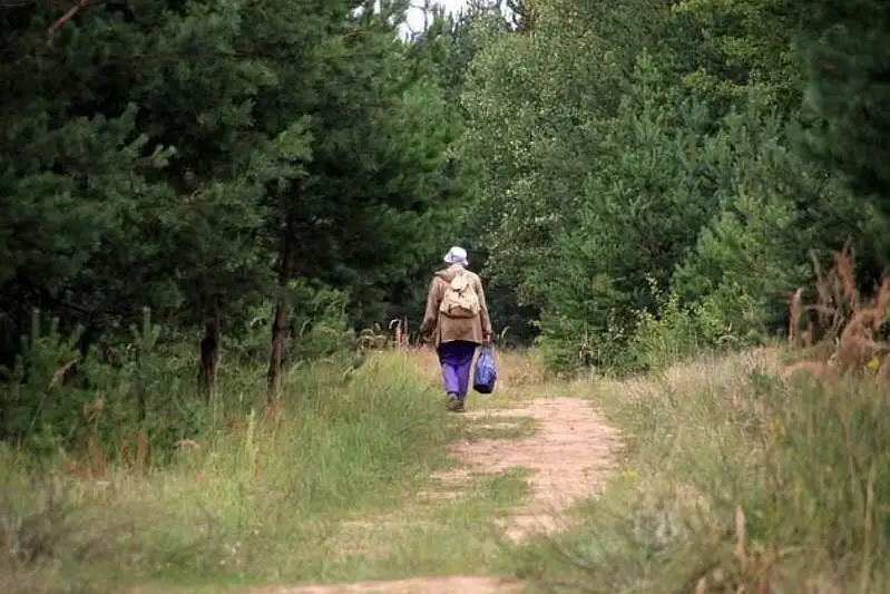 Семейная пара заблудилась в лесу в Каркаралинске