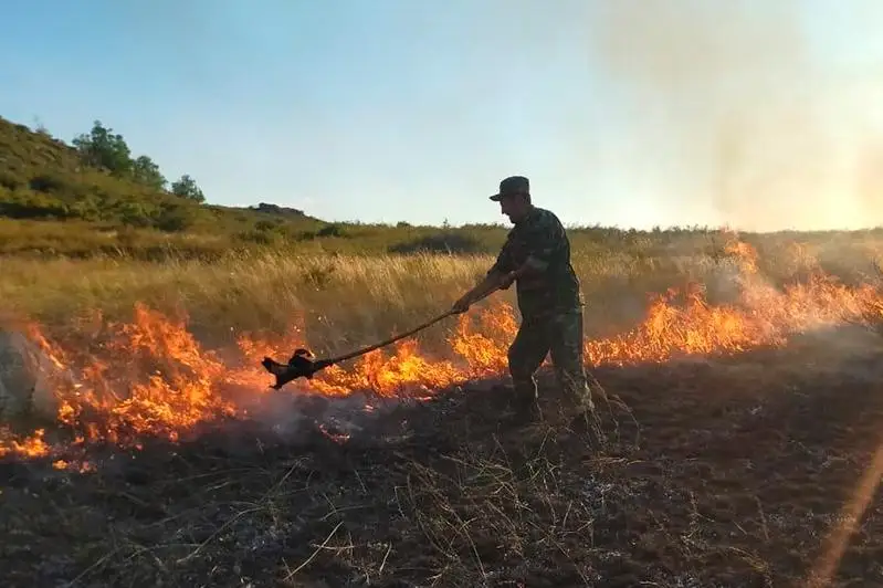 Природные пожары в Жамбылской и Восточно-Казахстанской областях ликвидированы