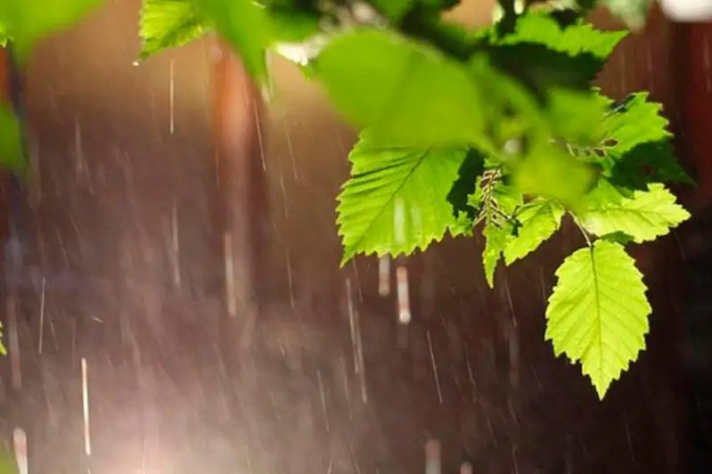 Ночные заморозки ожидаются в двух областях Казахстана