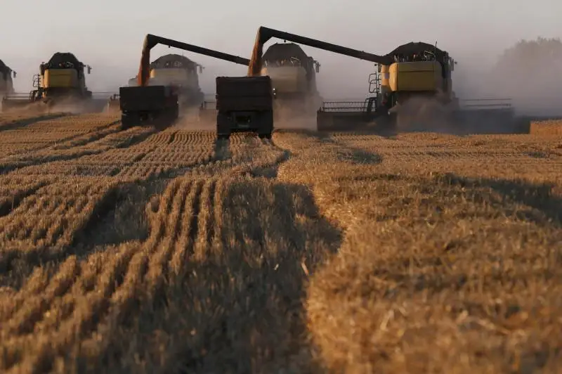 В Карагандинской области завершается уборка урожая
