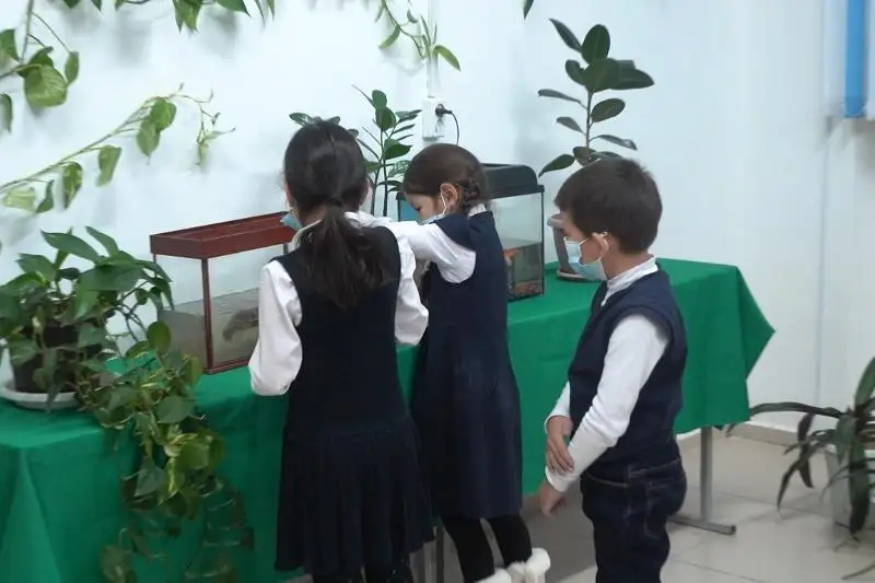 Школьники выращивают сад и разводят птиц в Атырауской области