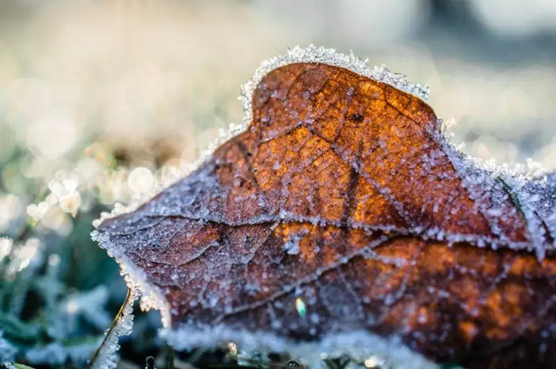 Заморозки и без осадков – прогноз погоды на 3 – 5 октября