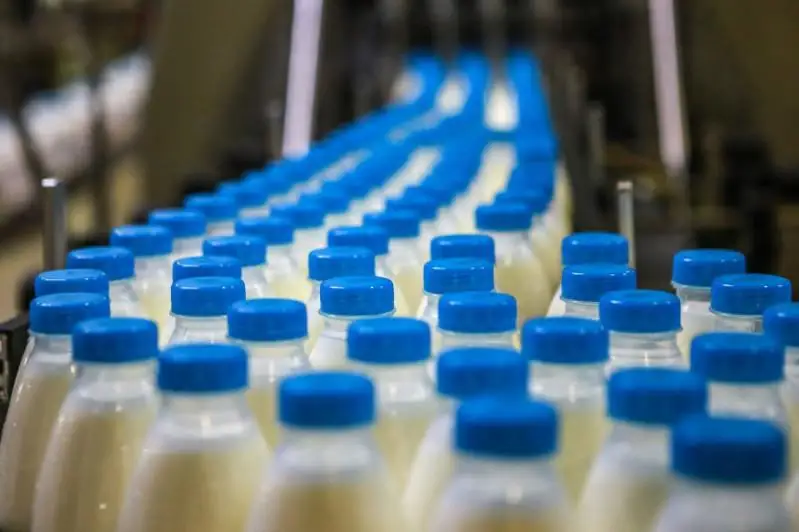 Производство молока увеличили в Северном Казахстане