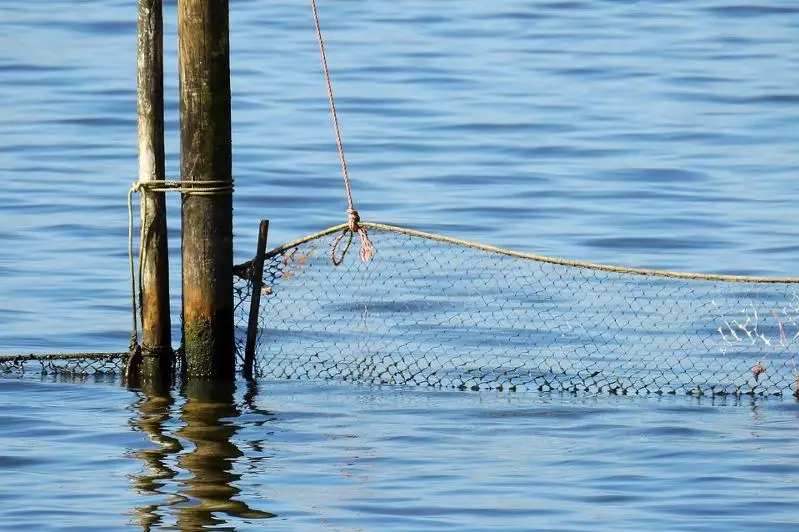 Магзум Мирзагалиев: В ходе акции очищены от сетей 79 водоемов
