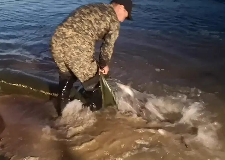 54,1 млн штук мальков ценных пород рыб выпустили в водоемы ВКО за последние 5 лет