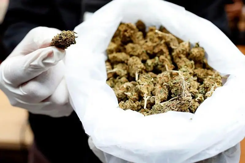 Канал поставки марихуаны из Алматы в Усть-Каменогорск перекрыли полицейские ВКО