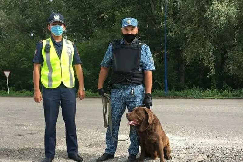 У трех жителей ВКО  изъяли боеприпасы