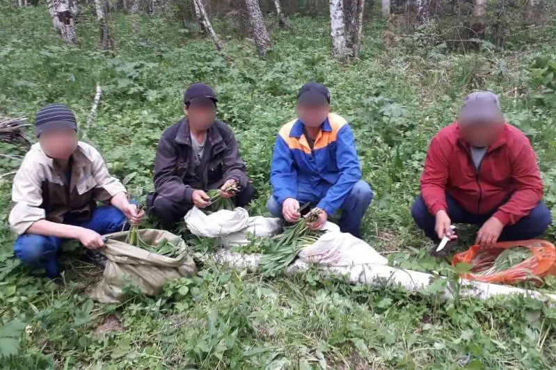 Редкие растения изъяли у жителей ВКО