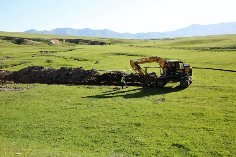 Животноводческий проект с передовыми технологиями реализуют в Жамбылской области