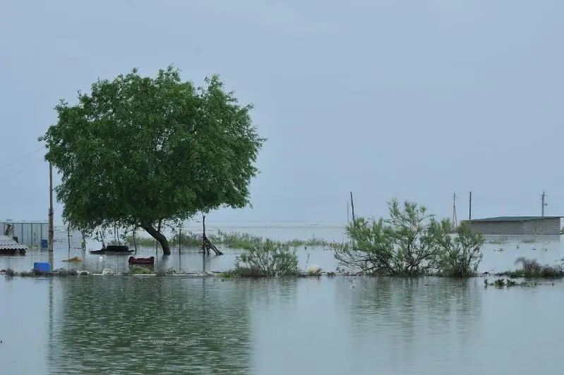 Ни один пострадавший в Мактааральском районе не останется без внимания – Сакен Калкаманов