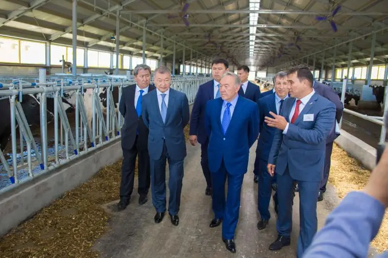 Аграрии Восточного Казахстана рассказали, как поддержка Елбасы повлияла на развитие АПК