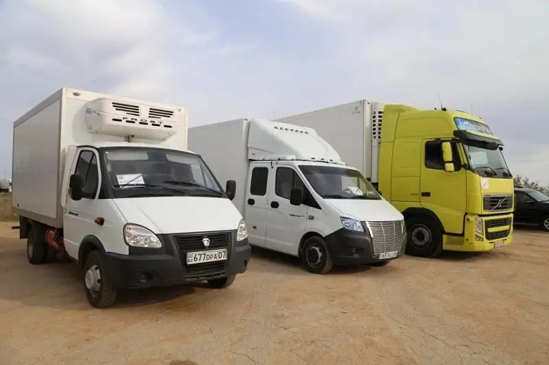 92 тонны сельхозпродукции отправили на столичную ярмарку из ЗКО