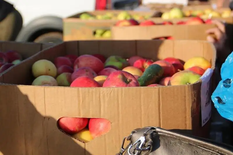 Овощи по низким ценам продавали на ярмарке в Жанибекском районе ЗКО