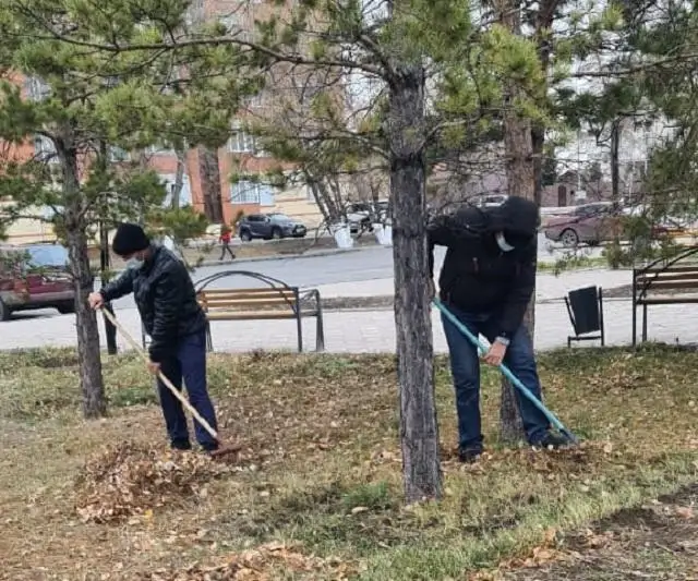 К общественным работам приговорили 40 осужденных в Павлодаре