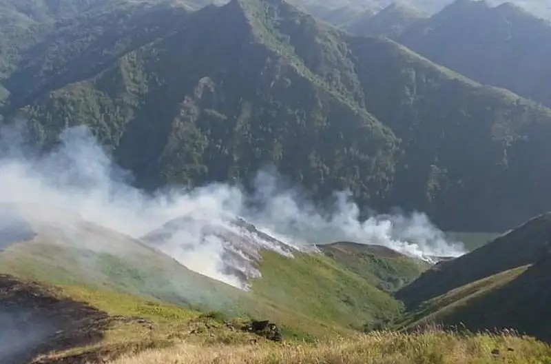 Пожар в лесной зоне потушили в ВКО