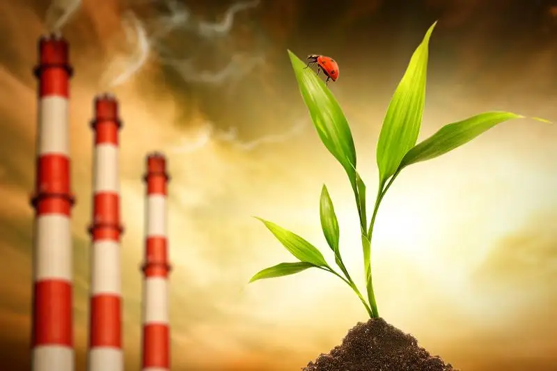 Дорожную карту решения экологических проблем представили в Алматинской области