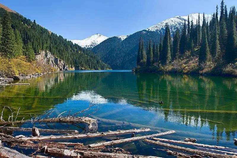 Глава государства отметил, что нужно спасти национальные природные парки – Сергей Пономарев