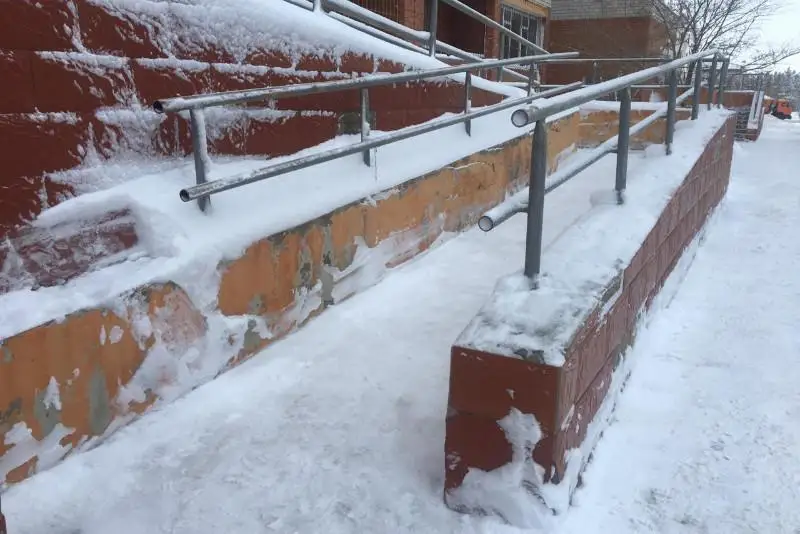 Сотрудники департамента экономических расследований вышли на уборку снега в Павлодаре