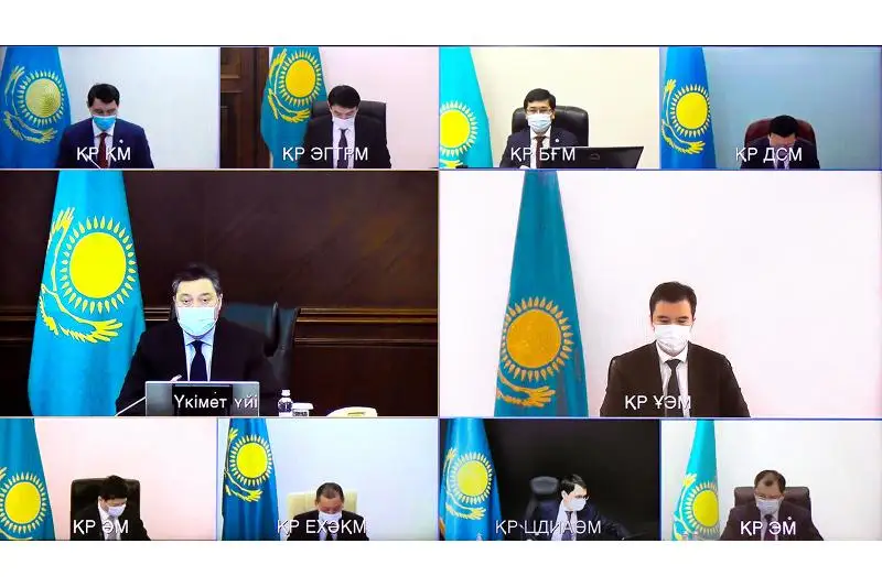 В Казахстане ужесточат наказание за незаконную вырубку деревьев