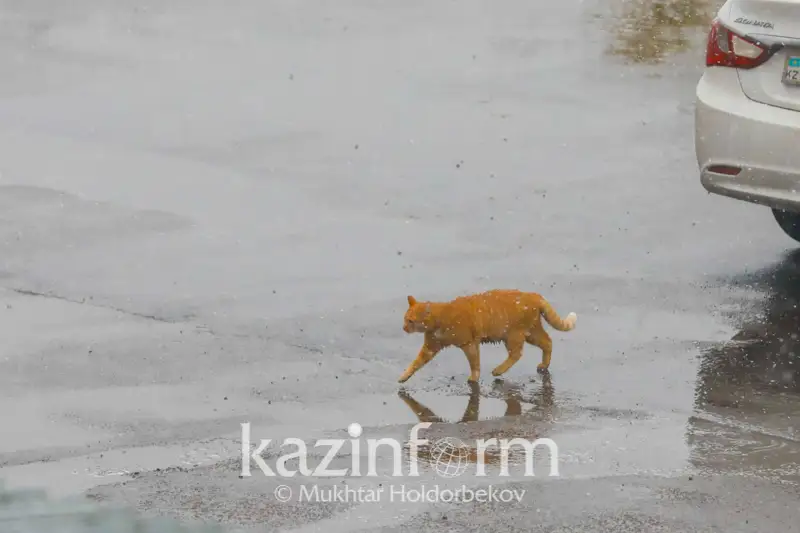 Прогноз на три дня: неустойчивая погода будет в северной половине Казахстана