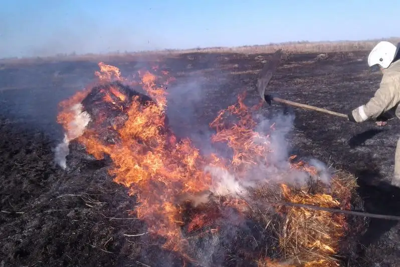 Трактор стал причиной степного пожара в ВКО