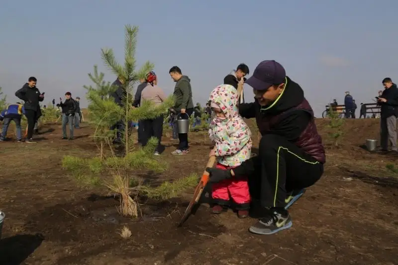 6 500 деревьев посадили в Карагандинской области