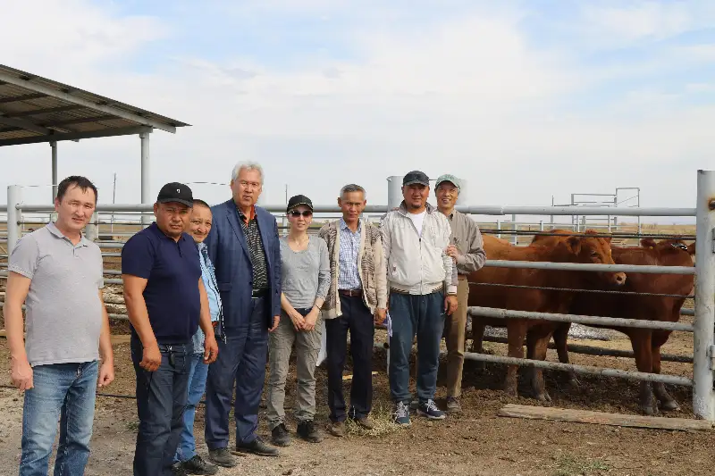 Научный проект по развитию АПК запустили в Казахстане