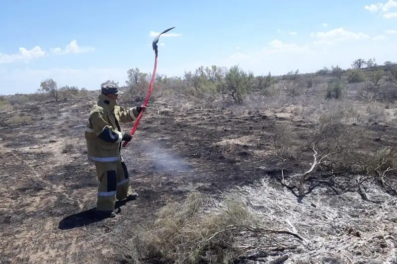 В Жамбылской области тушат два крупных природных пожара