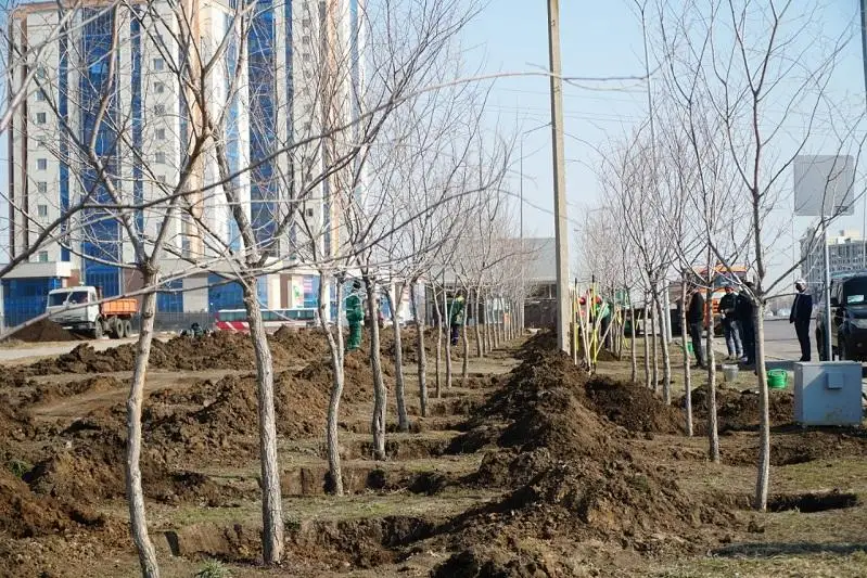 Шесть миллионов цветов и 30 тысяч деревьев высадят в Нур-Султане