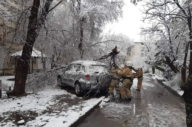Сильный ливень в Шымкенте: затоплены дворы, повалены деревья