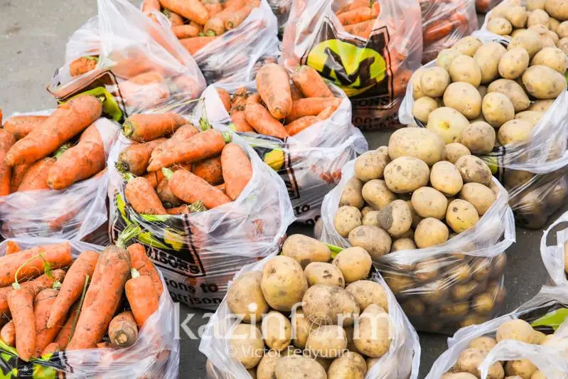 Пресечено 426 попыток незаконного ввоза в Казахстан растительной продукции