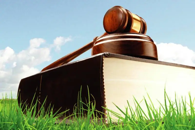 На 270 млрд тенге могут пополнить бюджет земельные аукционы -  Тимур Кулибаев