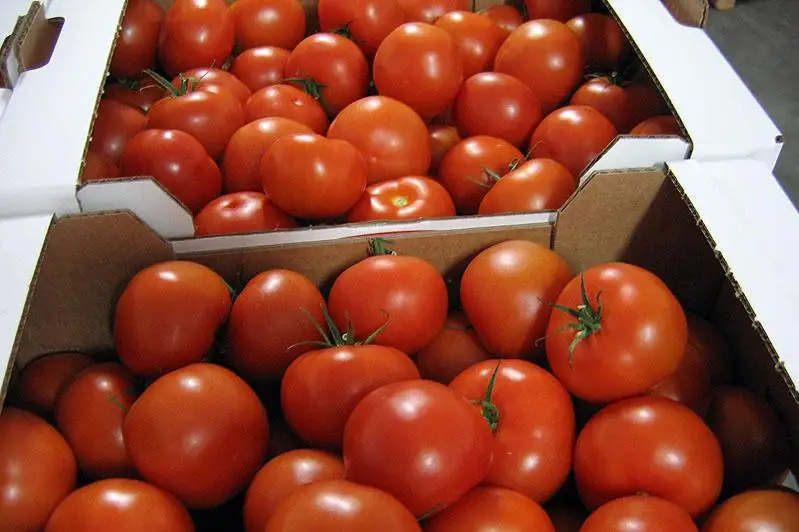 Свыше 60 тонн опасных злаков, овощей и фруктов запретили ввозить в Казахстан