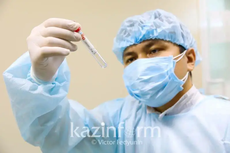 Коронавирус: Как формируются антитела в организме человека