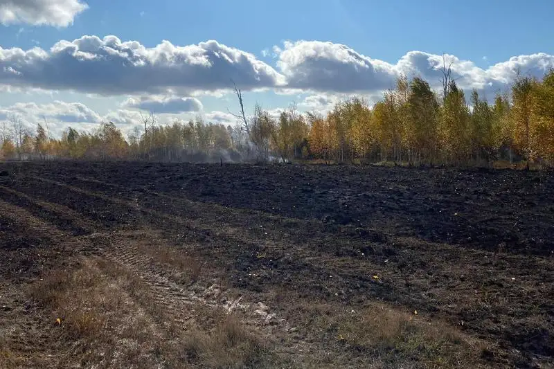 За пожар на зернотоке оштрафуют руководителя компании в СКО