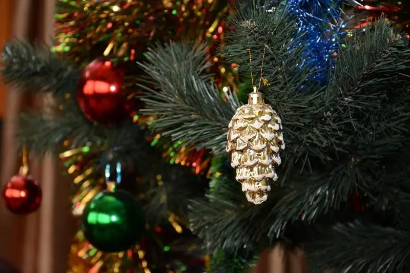 В казахстанских школах не будут проводиться новогодние мероприятия