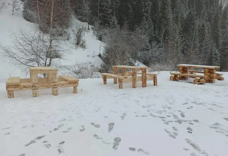 Как используются вырубленные деревья в алматинском Бутаковском ущелье