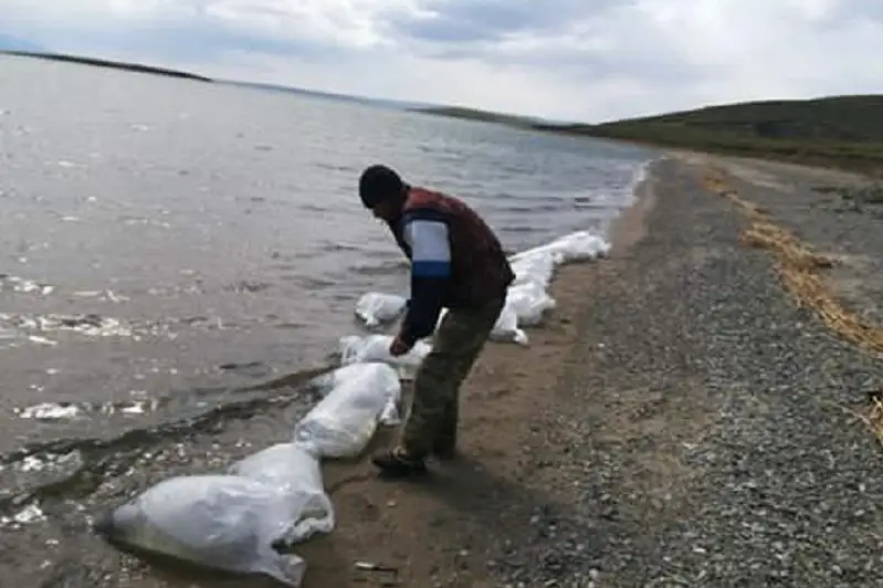 10 млн личинок  рыб выпустили в водохранилище в ВКО