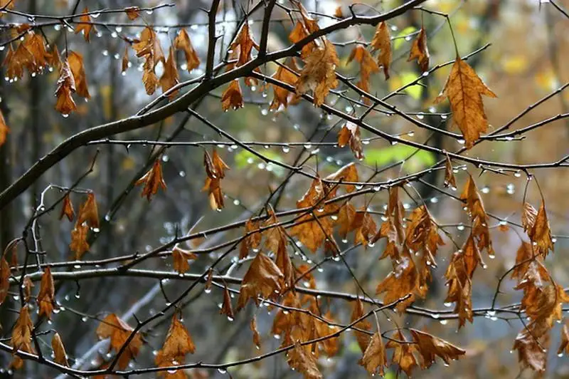 Шторм ожидается в Костанайской области