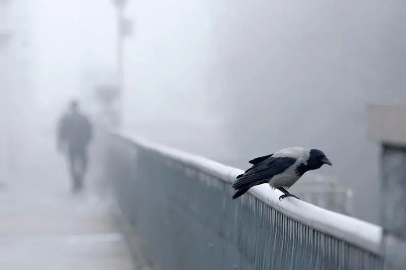 Туман, сильный ветер: шторм ожидается в четырех областях Казахстана