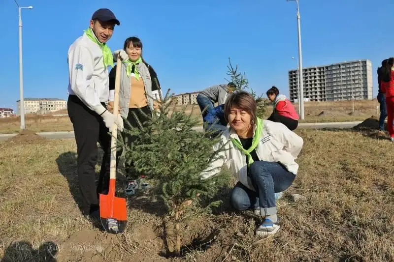 6 тысяч саженцев высадили в Восточном Казахстане