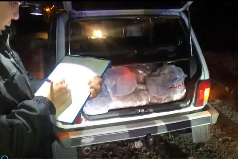 Незаконные охота и рыболовство: браконьеров выявили в Акмолинской области