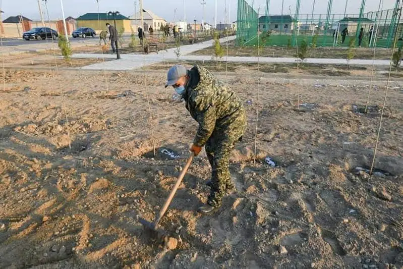 Около 7 тысяч саженцев высадили толебийцы в Туркестане