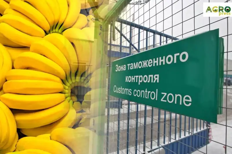 Минсельхоз не пустил в Казахстан 175 тонн растительной продукции из России и Вьетнама