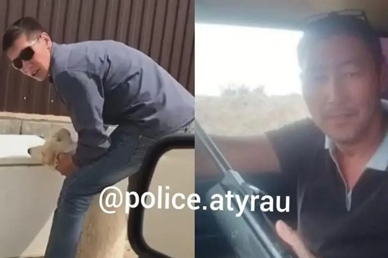 В Атырау за жестокое обращение с животными задержаны двое мужчин