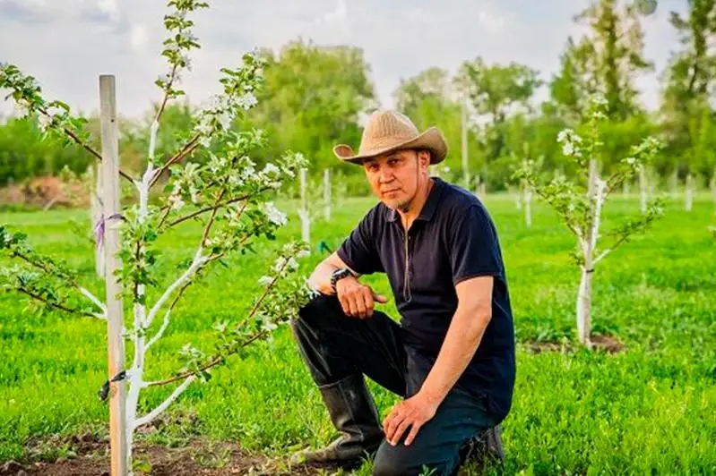 Яблоневые сады возрождает житель ЗКО