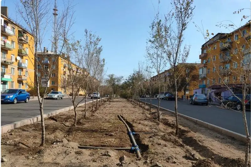 1500 деревьев посадят в Балхаше до конца октября