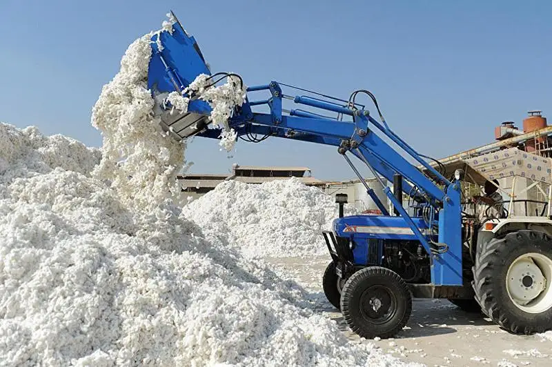 Переработка отечественного хлопка будет увеличена в три раза