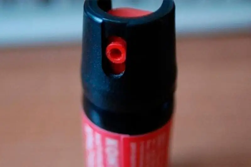 Столичное управление образования: газовый баллончик дали родители